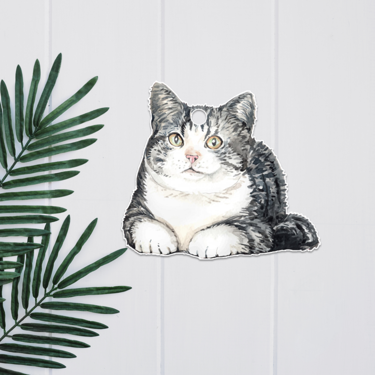 Product slide image