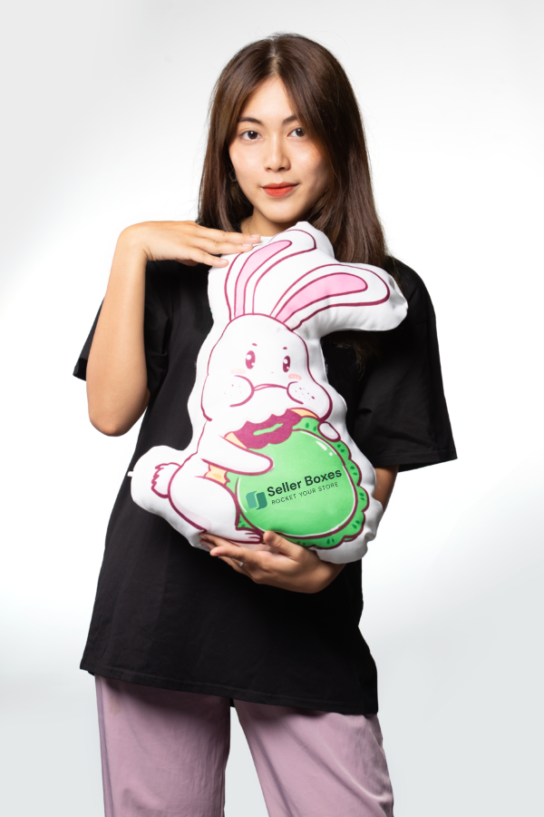 Product slide image