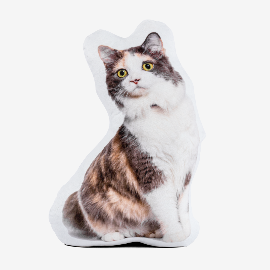 Product slide image