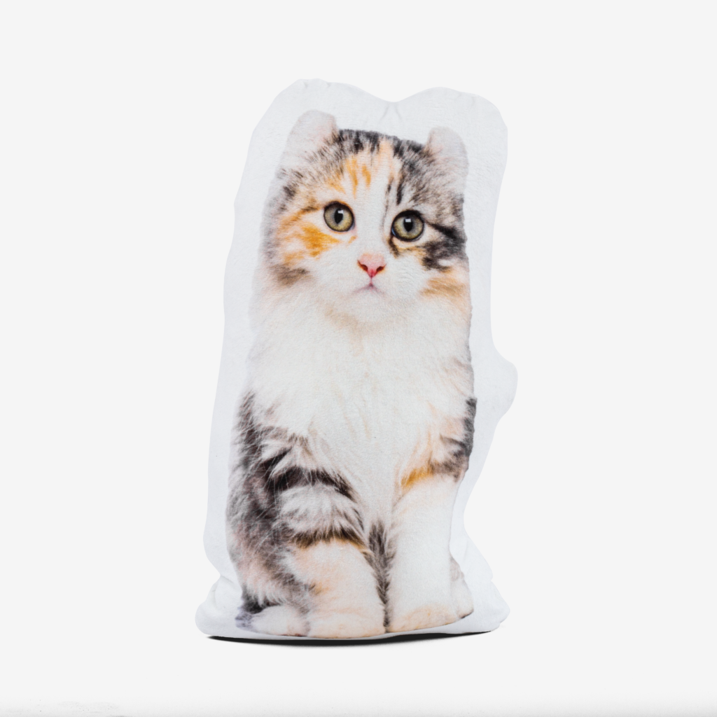Product slide image
